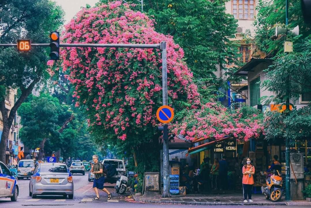 Tropical Land Little Hanoi Homestay Exterior foto