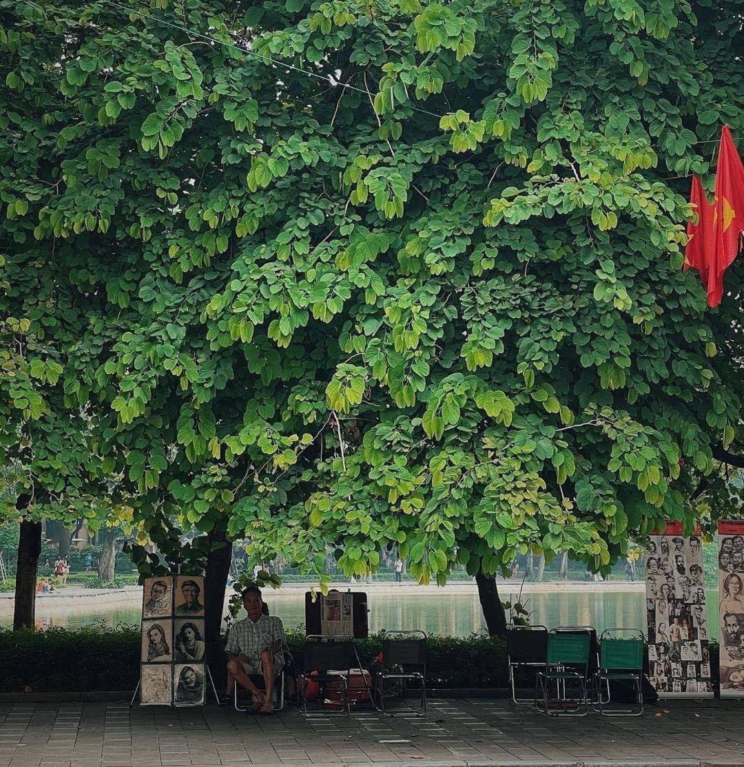 Tropical Land Little Hanoi Homestay Exterior foto